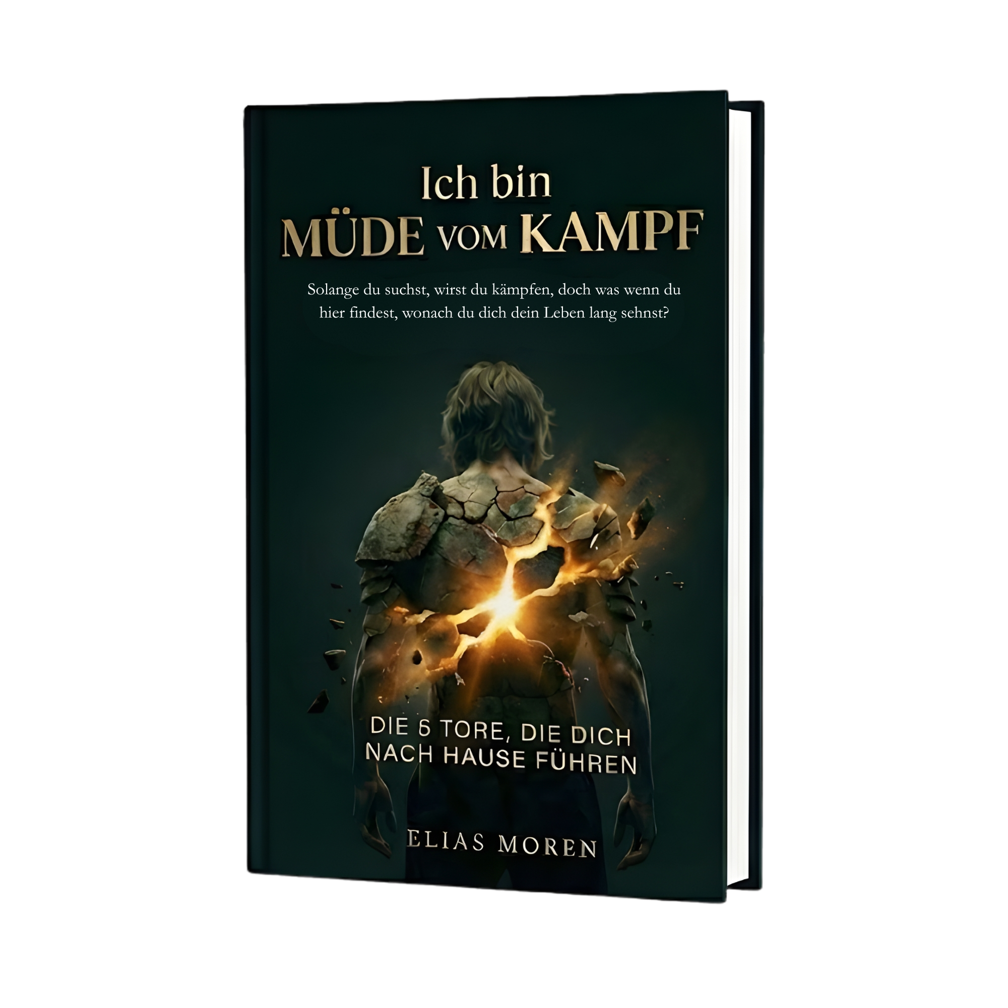 Ich bin müde vom Kampf – 3D Buchcover